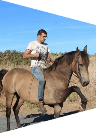Haras Somail Acc 2v2 Haras,Somail,Cheval,Pension,écurie,Ecurie